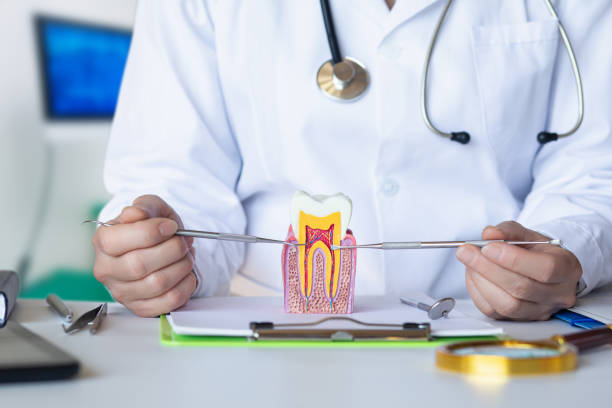 Best Emergency Root Canal Treatment in Hopwood, PA